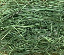 American small pet select grass sps Timothy grass