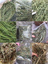 In the family shop try out Timothy grass Gatime Aomai fruit tree grass South Tibei five bags