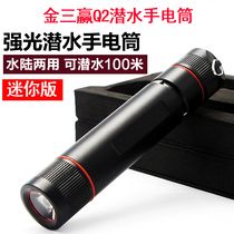 Mini professional diving flashlight outdoor waterproof LED strong light night riding convenient charging underwater lighting supplement Light