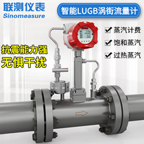 Joint test LUGB intelligent vortex flowmeter Steam flowmeter meter Boiler nitrogen pipeline Compressed air liquid