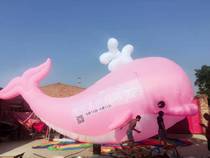Inflatable dolphin cartoon Air model shark inflatable arch whale fixed cartoon custom marine creature shape