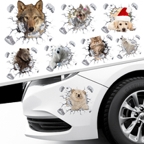 Car sticker shelter scratches cover front and back bumper car sticker door car tail waterproof sunscreen decoration 3d sticker