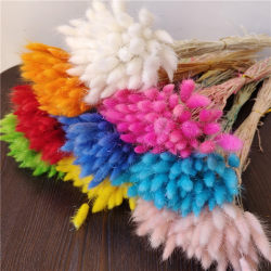 Yunnan Dried Flower Rabbit Tail Grass Gift Rabbit Tail Grass Bouquet Packaging Materials Teacher's Day Friends Home Decoration Bouquet