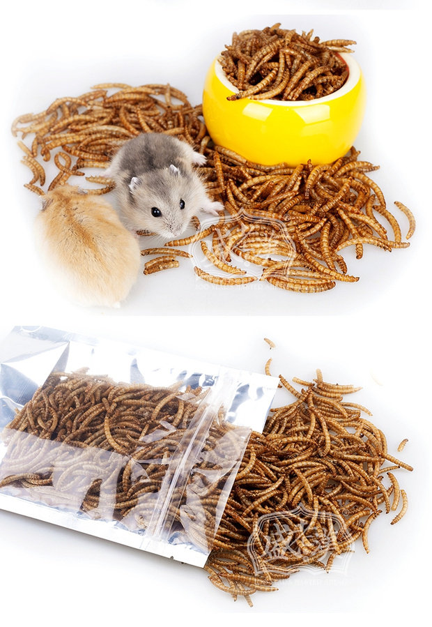 金丝熊仓鼠粮饲料零食高蛋白面包虫干