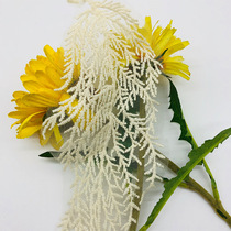 Cotton Embroidery Lace Clothing Fabric Lace Trim Accessories Children Clothing Neckline Cuffs Small Leaf Manufacturer Direct