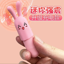 Female Sexual Anecdotoy Plug-in Wireless Jump Egg Clitoris Thrill Woman to Jump To Egg Muted Adult Supplies