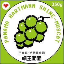 8 Bits New Production Season Panama Hartman Sunny King Grape Shallow Baking Handmade Boutique Coffee Bean Powder 250g