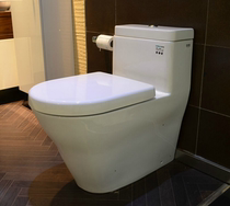 T0T0 toilet one-piece toilet CW166B PB toilet new product Burley series