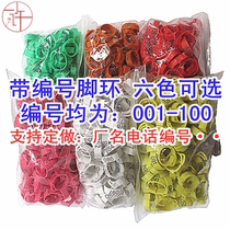 Chicken foot ring Poultry printing thickening supplies marking ring buckle color anklet large chicken small chicken label mark