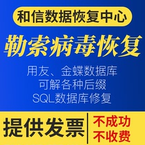 Data recovery ransomware decryption SQL database recovery server solid state mobile hard disk repair service