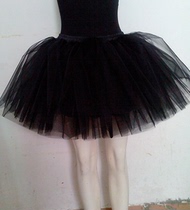 Annual meeting performance ballet dance skirt Adult Swan Lake half-body tutu dance practice skirt Tutu female