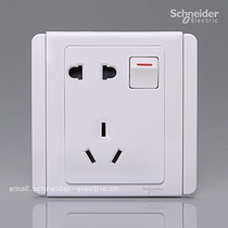 Schneider Metropolis E3000 series one-open five-hole 10A with switch two-three-pole socket (white and white)