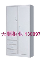 Endoscopic sanitary cabinet-(iron cabinet-roll cabinet-wardrobe-storage-storage-data-factory direct sales)