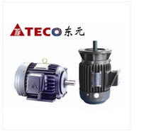 TEC0 Dongyuan three-phase asynchronous motor Induction Motor Motor 370W-380V 6-level bedroom vertical AEEF