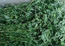 Alfalfa grass 250g bagged rabbit Dutch pig Chinchilla chinchilla Hay 5 pack National