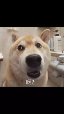 听说好评必须85字？不然没有积分？那么问题来了，怎么样才可以达到85字呢？这个问题在我的脑海里久久不去。马云爸爸怎么可以这样欺负我？不给我买冰阔洛也就算了，还让我一个二年级的小学生评论一定要写85字，哼！好过分啊，一定要记在小本本上！￣へ￣