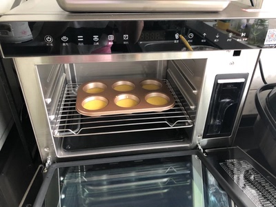 揭秘法格蒸烤箱怎么样,真相如何,不看后悔