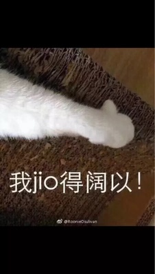 质量超棒！蕾丝很少女~穿上也不勒以后还会光临小店哒~~