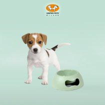 United Pets Italy original Imported Pet Bowl Cute Non-slip Food Basin Resistant Dog Cat Cat Water Bowl