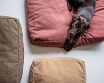 Cloud7 With Comfort Pet Mattress German Import Removable Washable Latex Cat Kennel Kennel Kennel Cot Bed Mat