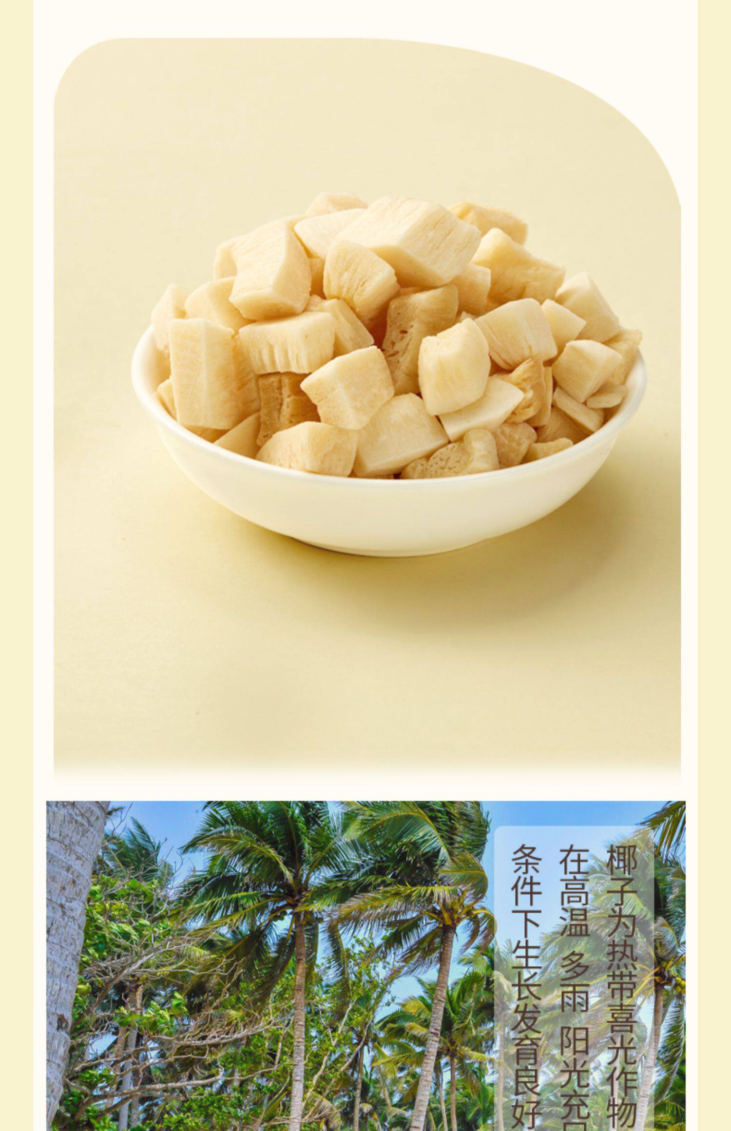 阿甘正馔椰子脆块海南风味椰肉椰子脆片罐装果干香脆小吃零食186g