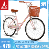 Phoenix bicycle female lightweight adult adult student 24-inch lady-style taxi to work ordinary commuter old-fashioned bicycle