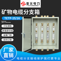 BTTZ rigid mineral insulated fireproof cable Branch junction box 1KV low voltage YTTW copper row power distribution T box