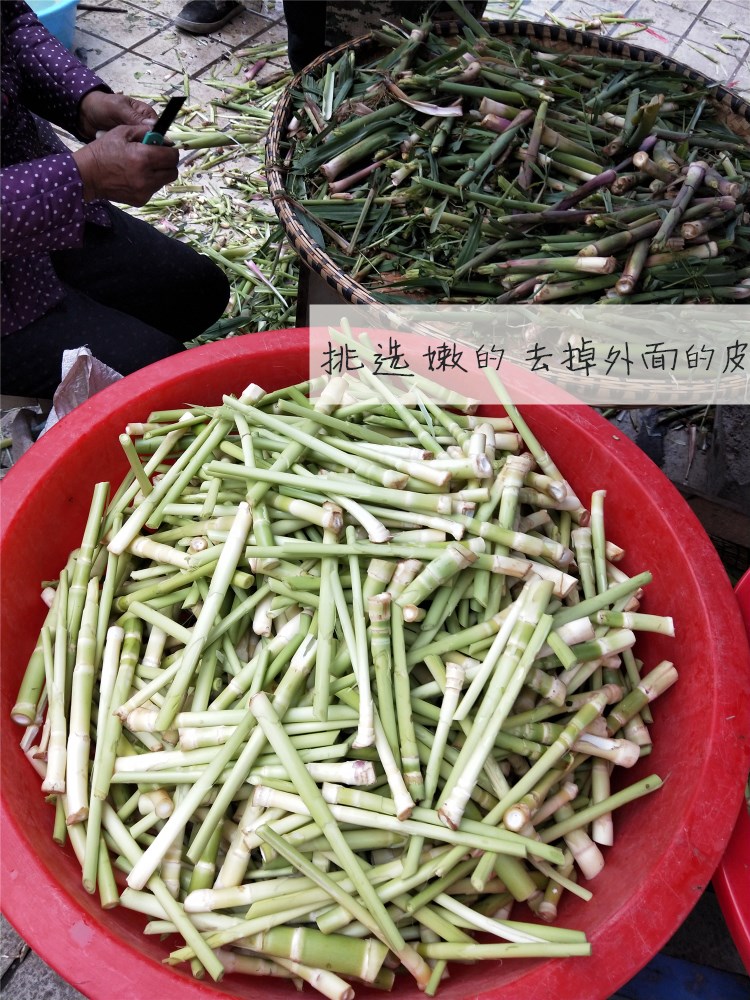 湖北石首监利华容特产新鲜蔬菜柴笋子芦苇笋天鹅洲荻笋1000克