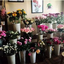 Baking varnish as old white small iron barrel flower pot Tin Barrel Vase Iron Art Double Ear Flower Barrel Flower Silo Flower barrel Flowers