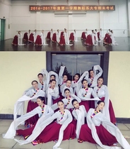 Tibetan dance practice skirt Tibetan dance skirt Tibetan dance water sleeve Beijing Dance Academy student classroom dedicated