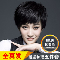 Wig female short hair round face real hair net red natural handsome short hair real hair fluffy bobo face repair full headgear