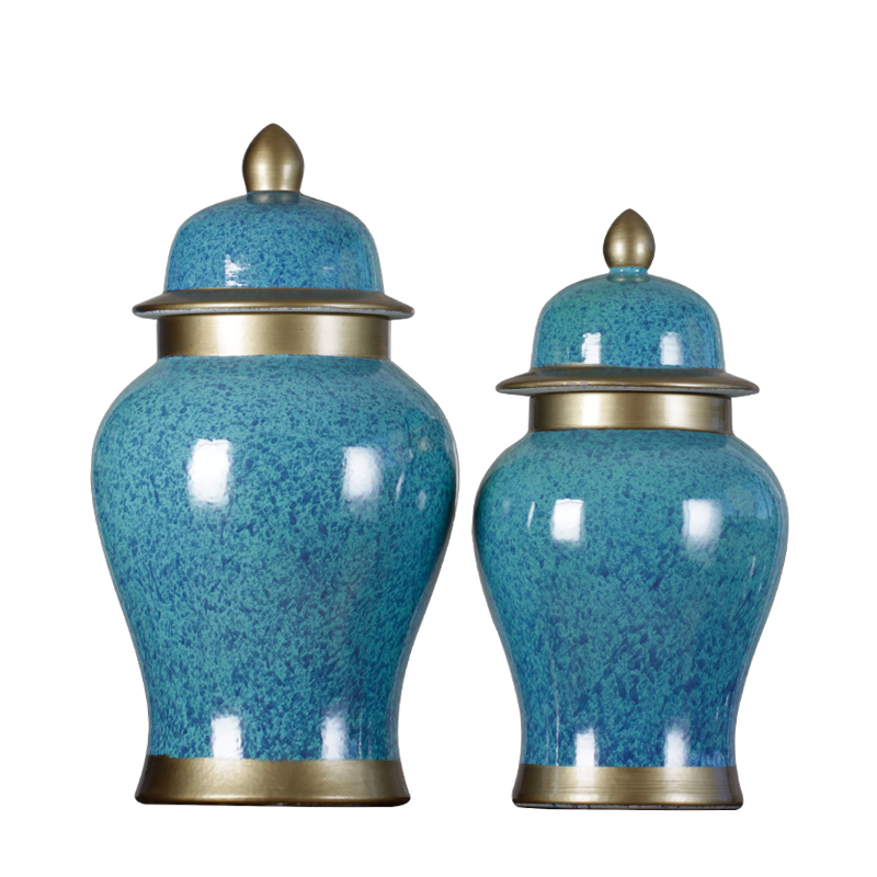 Jingdezhen ceramic vases, general tank temperature manual household decorates sitting room crafts paint flower arranging furnishing articles