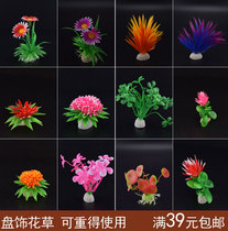 Sashimi plate decoration Flower plate decoration Japanese restaurant food and beverage dishes Cold plate decoration artistic mood edge decoration