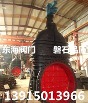 Z941T-10C electric cast iron open rod gate valve large diameter sewage gate valve electric flange cast iron gate valve DN800