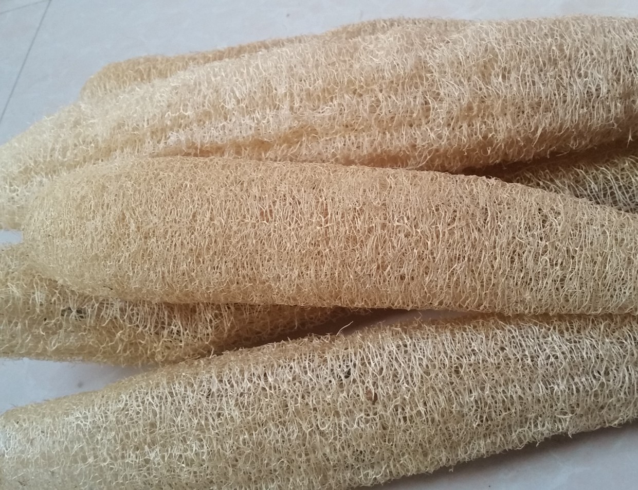 天然农家老干丝瓜络筋瓤刷锅洗碗沐浴球搓澡巾浴花擦背去角质包邮