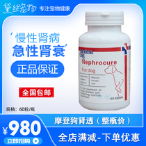 Modern Dog Modern Dog kidney dialysis improves kidney metabolism high blood phosphorus reduces urea ammonia cat Dog kidney failure