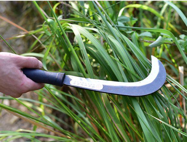 柴刀户外柴刀砍树果树锰钢镰刀开路刀山砍树刀劈柴伐木农用材家用