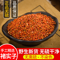 Chinese herbal medicine Chu Shizi 500g Zhu Shizi New Products of Echinensis Seed Chu Mi Wei Lingxian Echinensis can be powdered