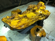 Golden Silk Nanmu Tea Tray Solid Wood Tea Table Root Carved Tea Table Domestic Living Room Whole Block Large Drain Tea Art 227-26