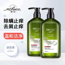 Magic incense rosemary shampoo with water removal from mite Mite Body Lotion for women control Oil Cuttings Stop Tickle for Fragrant Hair Care Vegetarian Suits