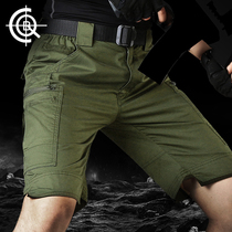 cqb military fan tactical pants summer thin frock shorts Cotton physical training army green perspiration horseshoe tactical shorts