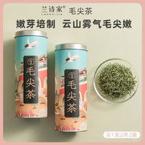Buy 1 delivery 1 wool tip tea 2022 new tea Xinyang original special grade tender bud intense and fragrant green tea Mao pointed tea