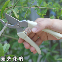 Gardening pruning scissors Flower scissors Household labor-saving branch scissors Orchard coarse branch scissors Multi-function tool pruning scissors