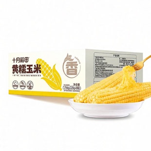 25年新玉米十月稻田黄糯玉米箱装2箱东北糯玉米新鲜低脂拉丝早餐