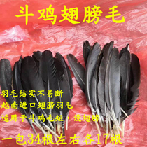 Cockfighting hair Cockfighting supplies Cockfighting wings hair Cockfighting feathers Cockfighting hair cockfighting training supplies