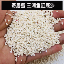 Hermit crab bottom sand roll shell fish shell sea sand three lakes cichlids natural fish tank bottom sand landscaping sand white