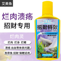 Lucky fish special medicine tropical fish medicine battle boat fish rotten body erythema red spot red skin enteritis blood protruding eye ornamental fish medicine
