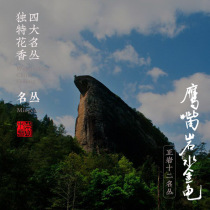 Eagle-billed rock water beetle 2020 Zhengyan Wuyi rock tea four famous firs plum flowers flowers Jiamu will supervise