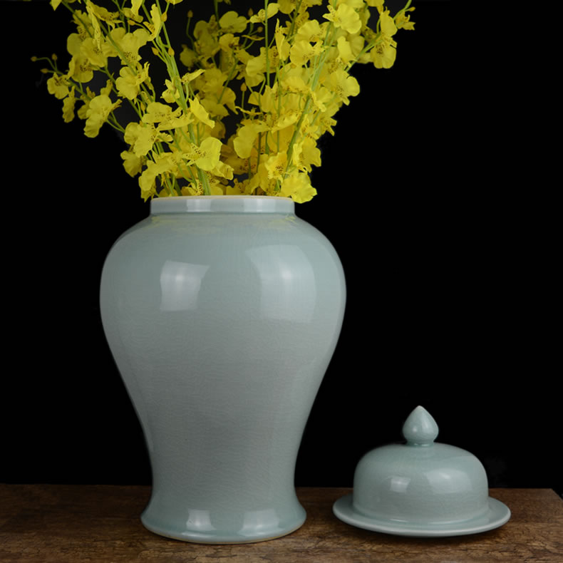 The general pot of furnishing articles household act The role ofing is tasted The modern jingdezhen ceramics creative vase sitting room porch ark, crafts