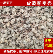 Bulk Bitter Buckwheat Shell Pure Black Buckwheat Leather Pillow Pillow Core Material Traditional Chinese Herbal Medicine Health Care Sleeping cervical spine Pillow Flowers and flower
